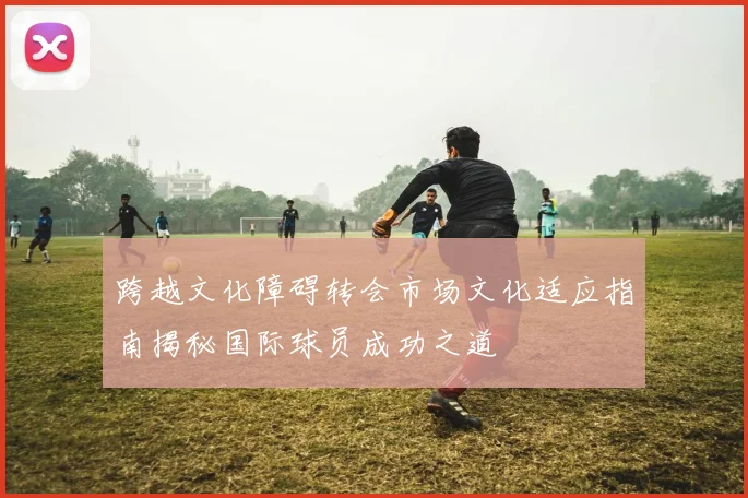 跨越文化障碍转会市场文化适应指南揭秘国际球员成功之道